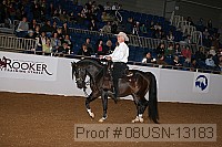 08usn-13183 proof