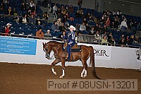 08usn-13201 proof