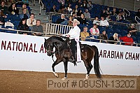 08usn-13202 proof