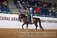 08usn-13232 proof