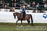 08usn-16704 proof