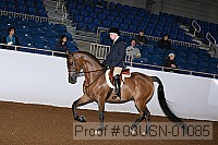 08usn-01085 proof