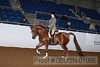 08usn-01086 proof
