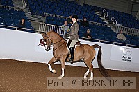 08usn-01088 proof