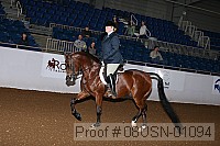 08usn-01094 proof