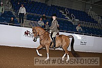 08usn-01095 proof