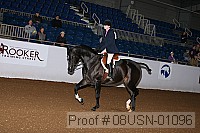 08usn-01096 proof