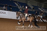 08usn-01101 proof