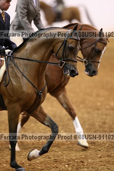 Proof 08usn-01102