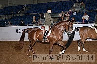08usn-01114 proof