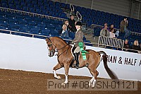 08usn-01121 proof