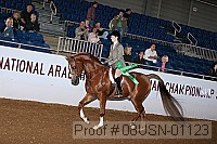 08usn-01123 proof