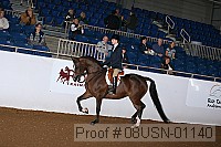 08usn-01140 proof