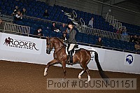 08usn-01151 proof