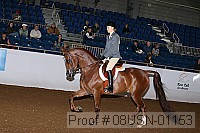 08usn-01153 proof