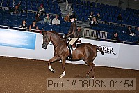 08usn-01154 proof