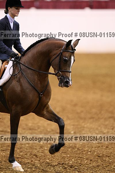 Proof 08usn-01159