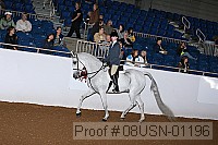 08usn-01196 proof
