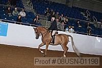 08usn-01198 proof
