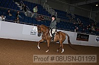 08usn-01199 proof