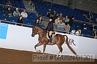 08usn-01201 proof