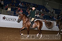 08usn-00316 proof