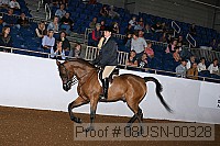 08usn-00328 proof