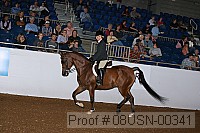 08usn-00341 proof