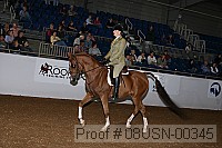 08usn-00345 proof