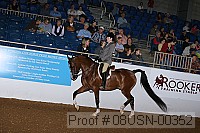 08usn-00352 proof