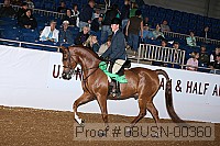 08usn-00360 proof