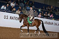 08usn-00361 proof