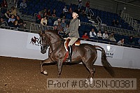 08usn-00381 proof