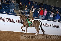 08usn-00393 proof