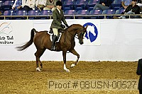 08usn-00527 proof