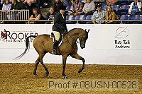 08usn-00528 proof