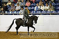 08usn-00531 proof