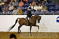 08usn-00532 proof