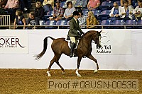 08usn-00536 proof