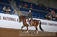 08usn-02163 proof