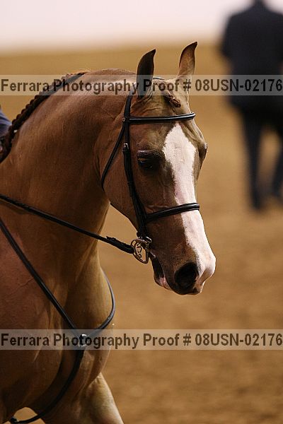 Proof 08usn-02176