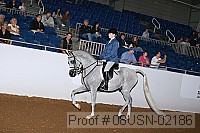08usn-02186 proof