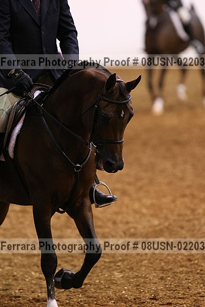 Proof 08usn-02203