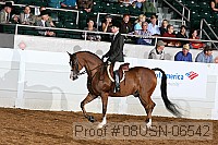 08usn-06542 proof