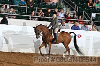 08usn-06544 proof