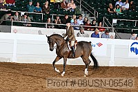 08usn-06548 proof