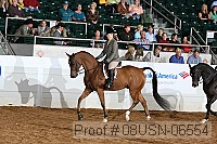08usn-06554 proof