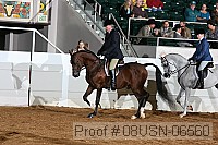 08usn-06560 proof