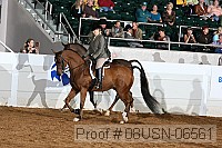 08usn-06561 proof