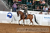 08usn-06563 proof